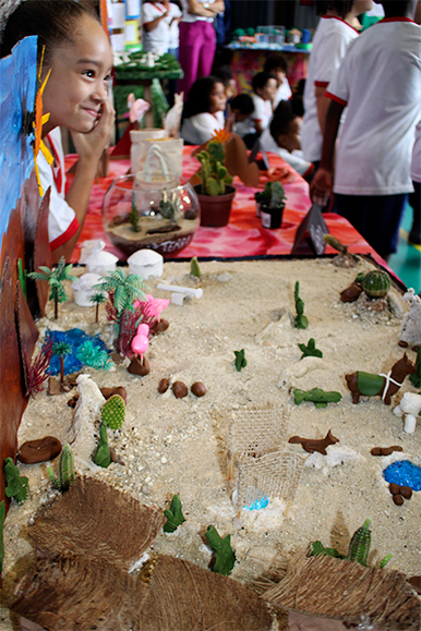 19 Foto Site Feira Do Conhecimento E Cultura